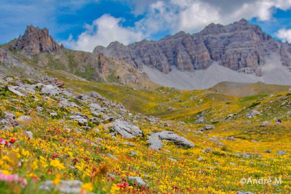 Randonnée philosophique en montagne