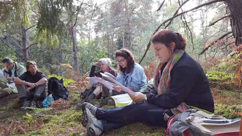 Stage Yoga dessin randonnée